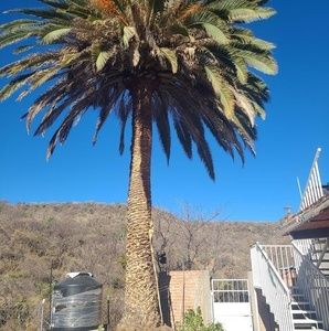 Meet your Posher, Manuel